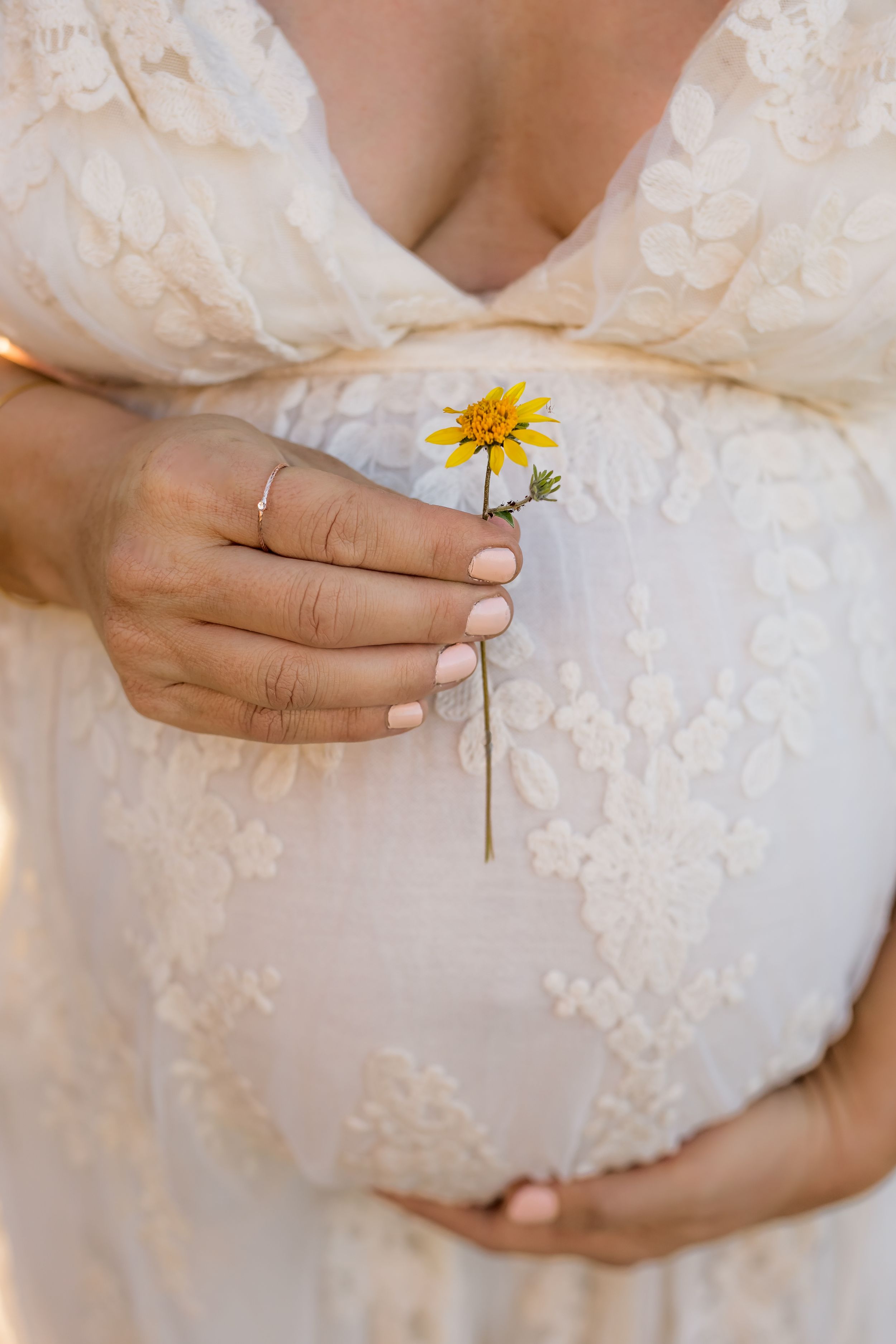A close up of a moms pregnant belly holding a sweet little flower in front of her belly for a unique maternity photo.