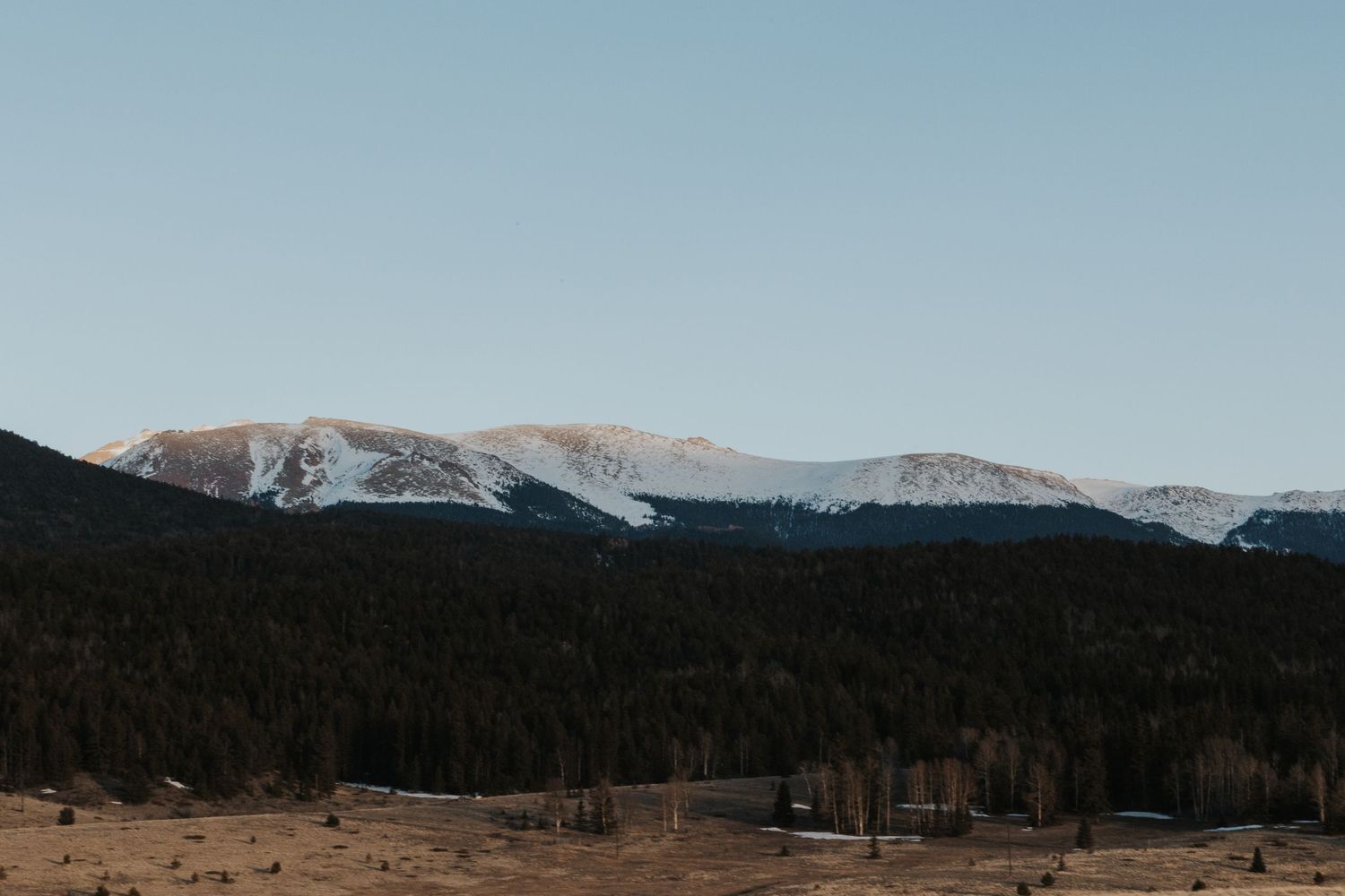 view of snow on Pikes Peak from Mueller State Park