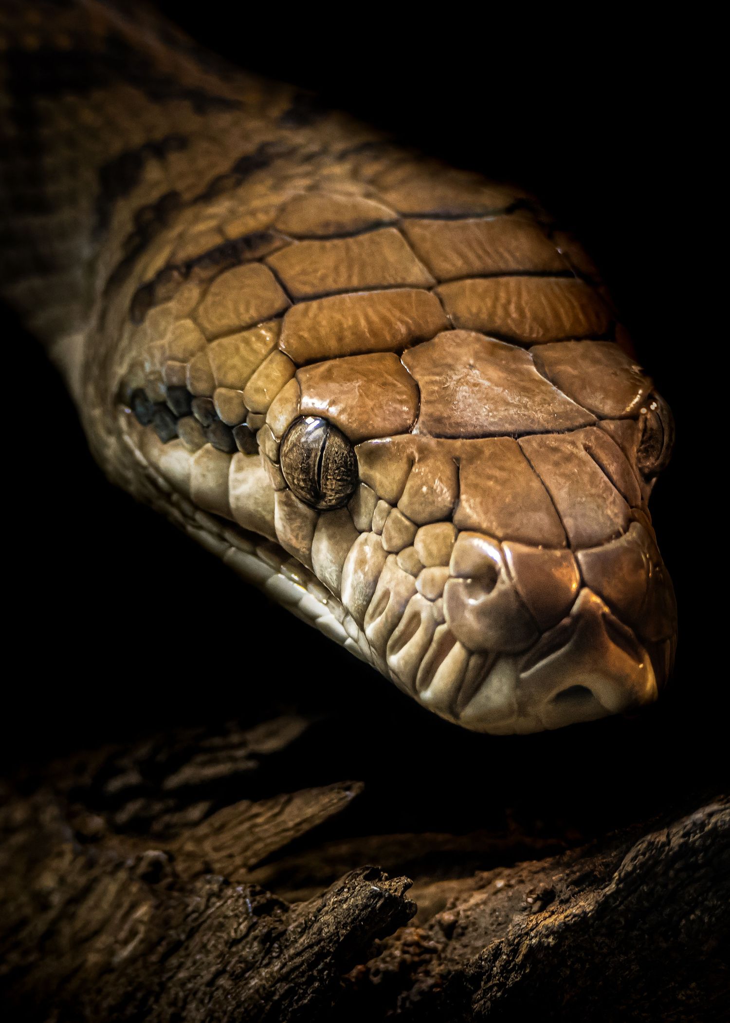 John Peters Photography