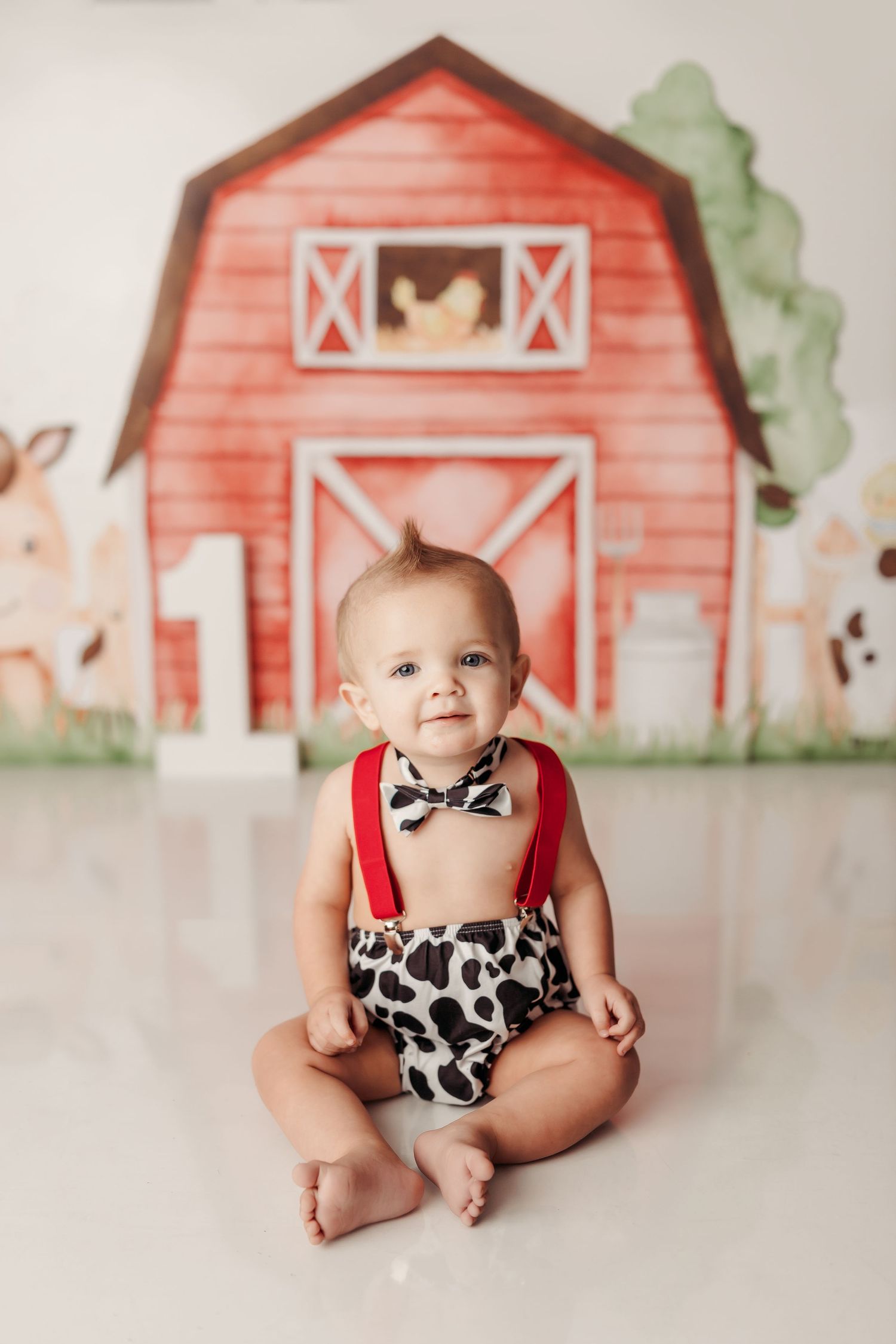 Tulsa cake smash photographer barnyard bash tulsa baby photographer
