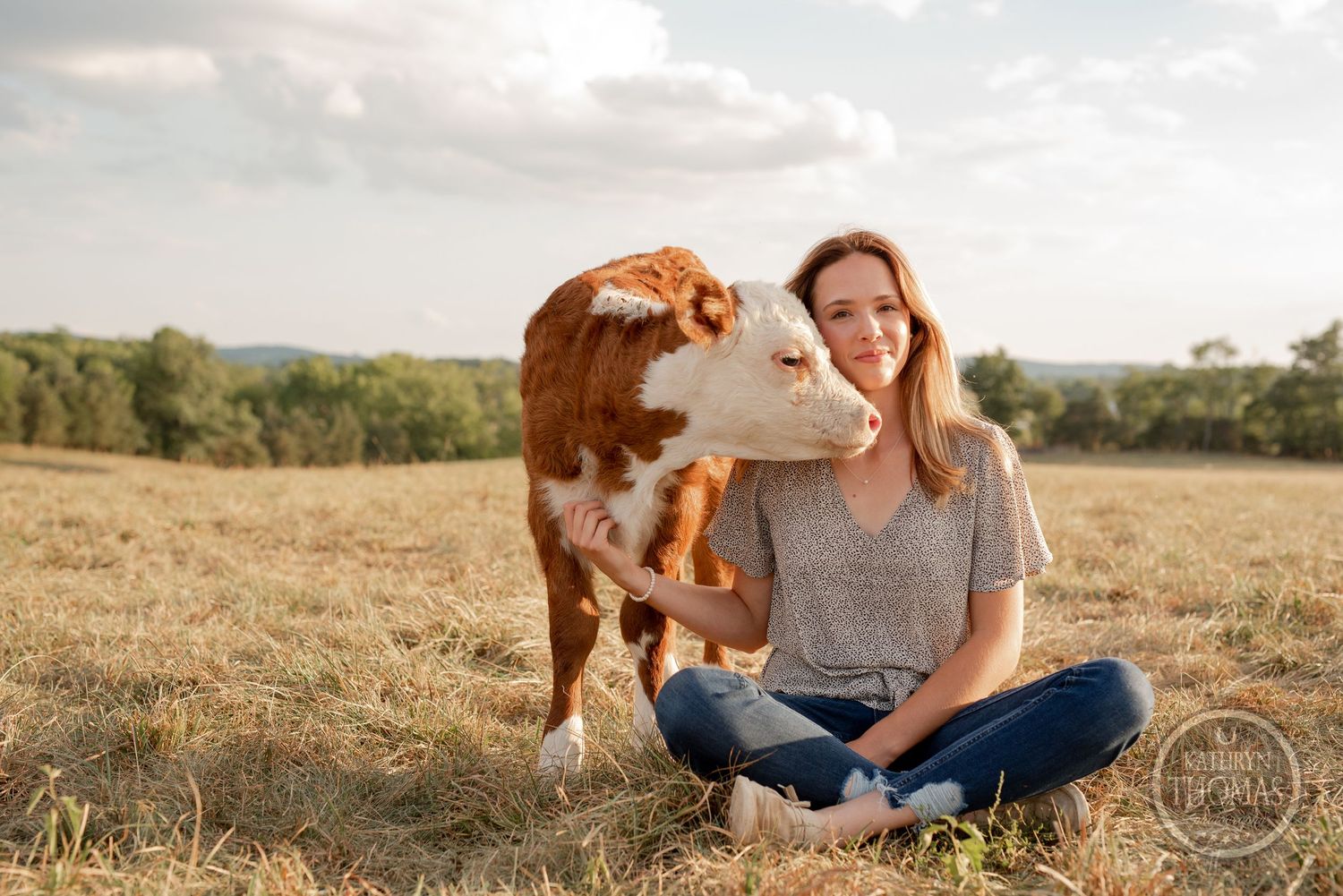 Happy moment captured with a playful brown and white cow in a rural autumn field.
