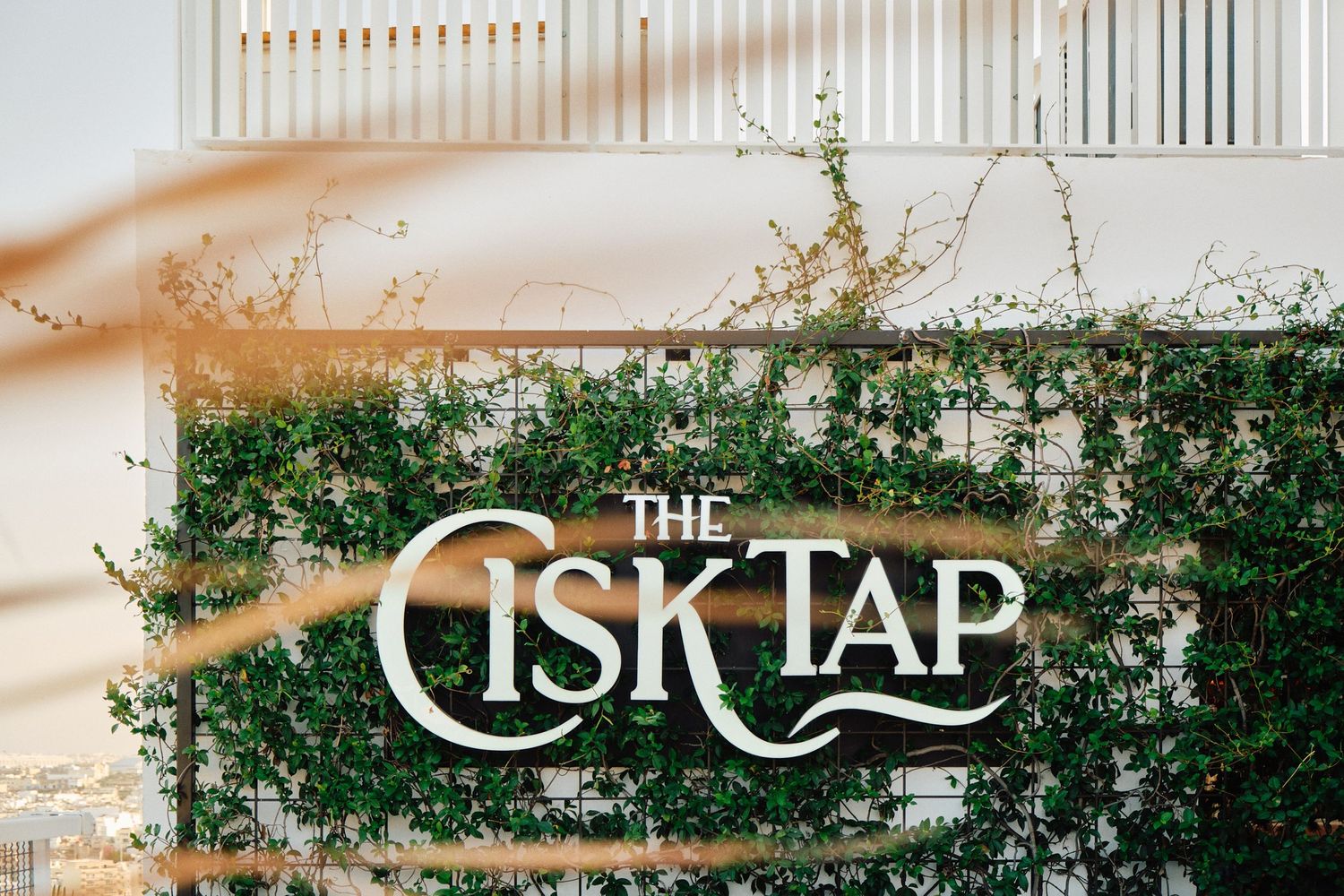 The Cisk Tap sign mounted on green foliage covered wall in natural lighting.