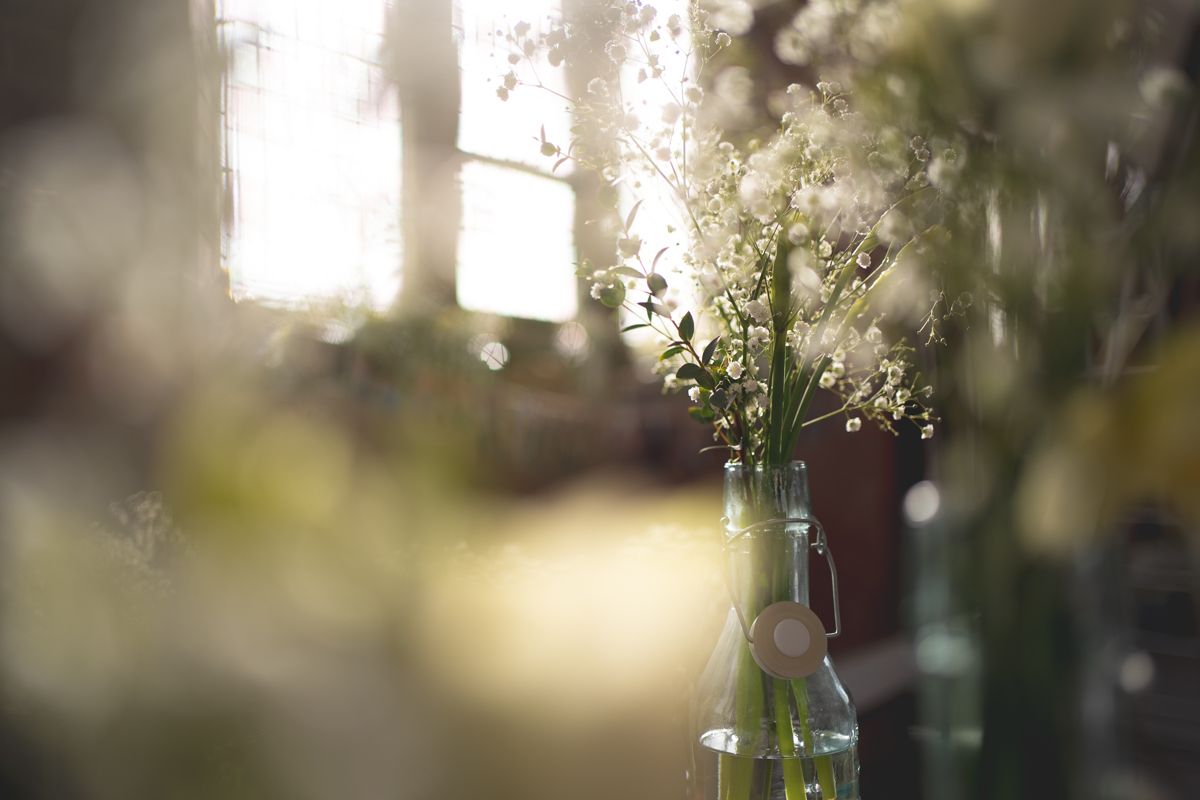 White delicate flowers in a glass bottle vase are backlit by soft window light.