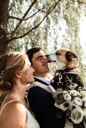 Wedding couple sharing lighthearted moment with their dog under weeping willow tree.