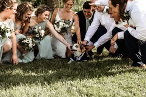 Wedding party sitting on grass laughing while adjusting shoes and having candid moment.