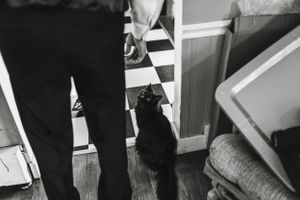 A black and white photo of someone standing on checkerboard flooring with a cat near their feet.