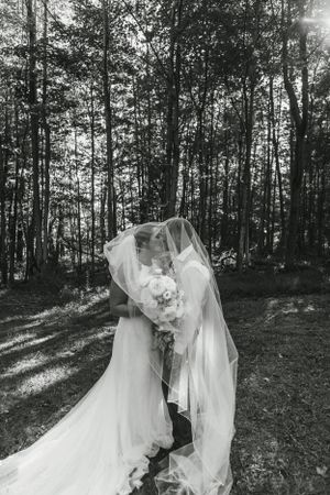 Romantic black and white wedding portrait with elegant veil silhouetted against tall forest trees.