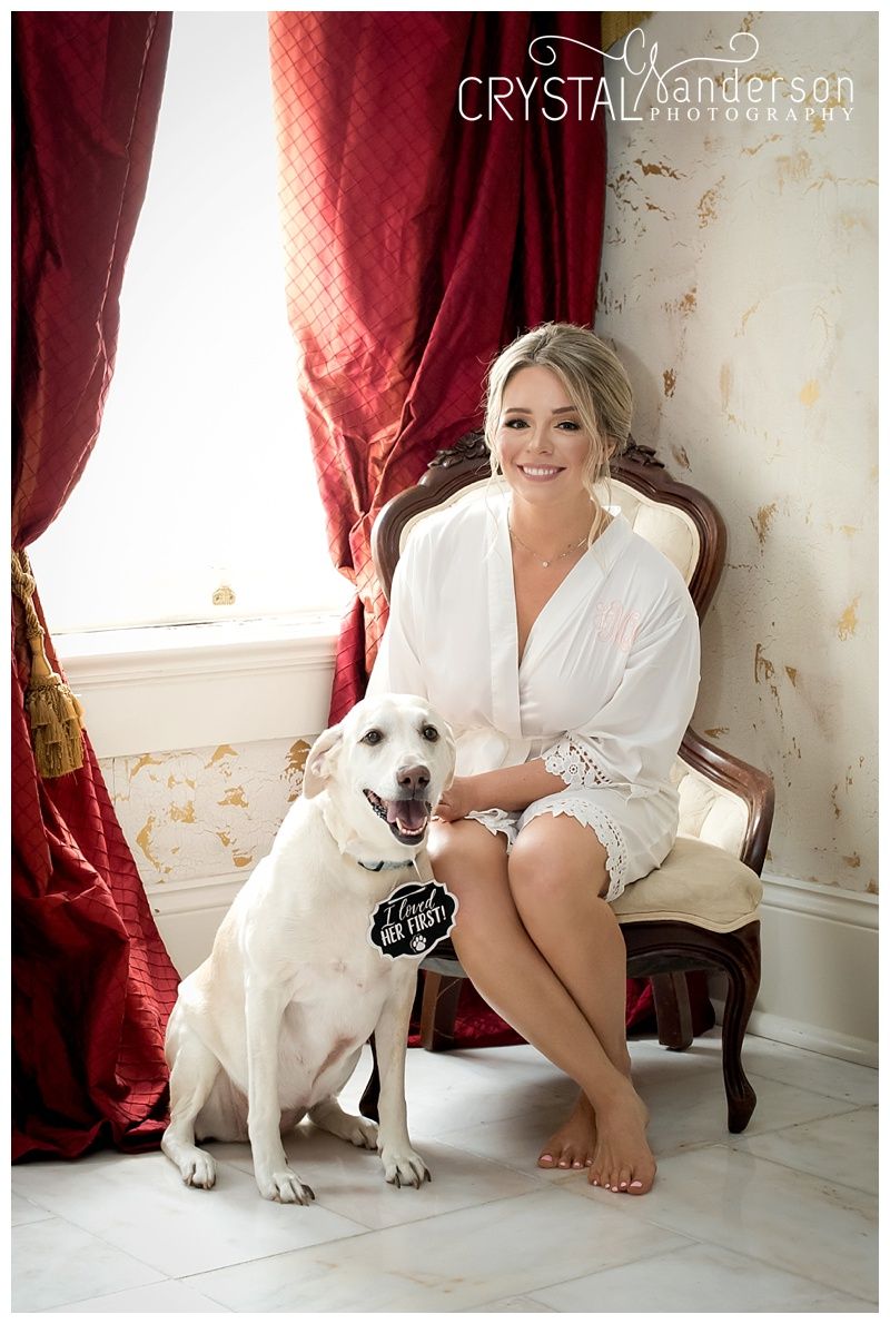 White dog sitting beside person in casual attire near elegant red curtained window.