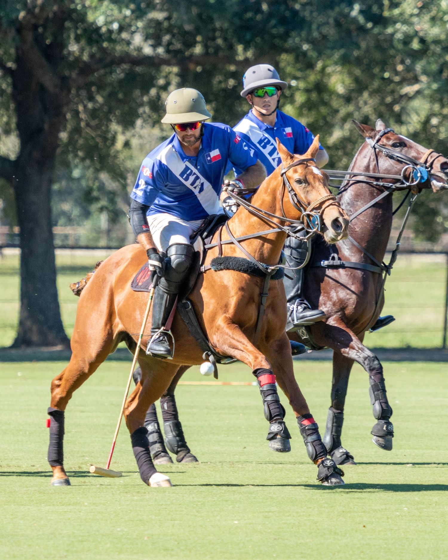 Polo