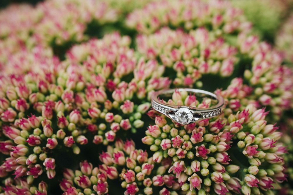 Diamond engagement ring photographed on pink sedum flowers.