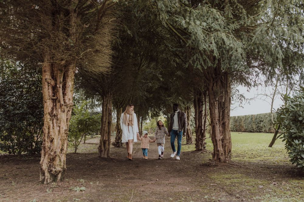 A family walks together under a canopy of tall evergreen trees in a park.