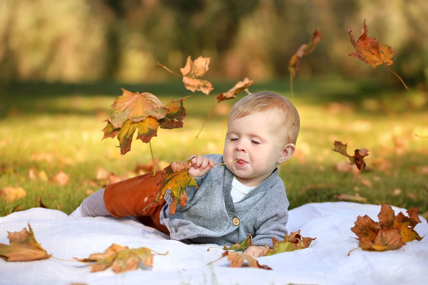 Outdoor Autumn baby photo session in Vienna