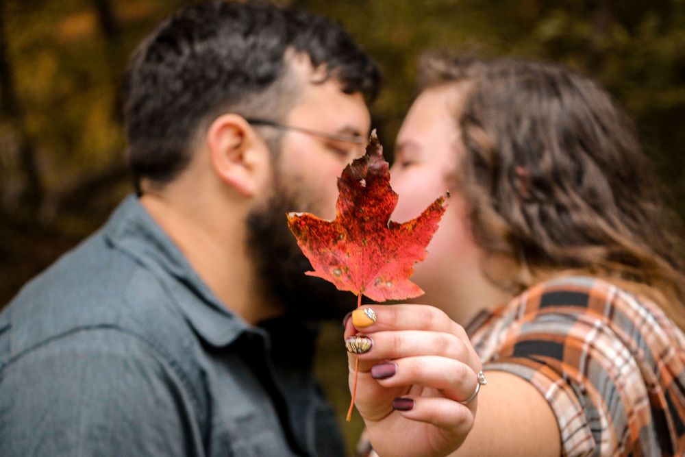 Leaf