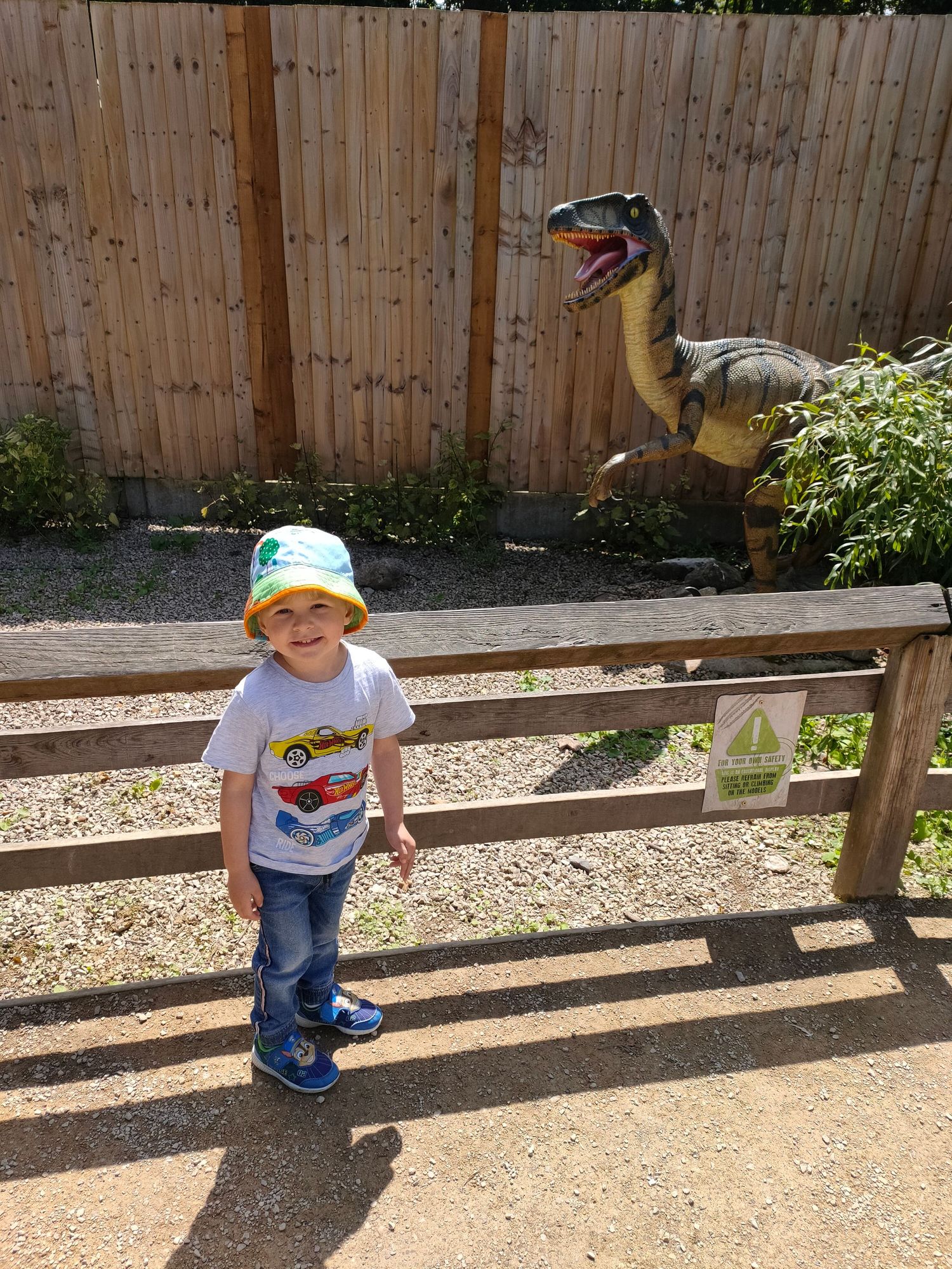 Dino Trail Thomas Land