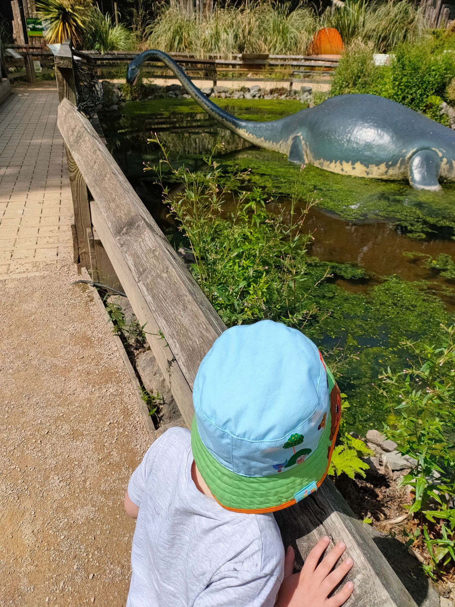 Dino Trail