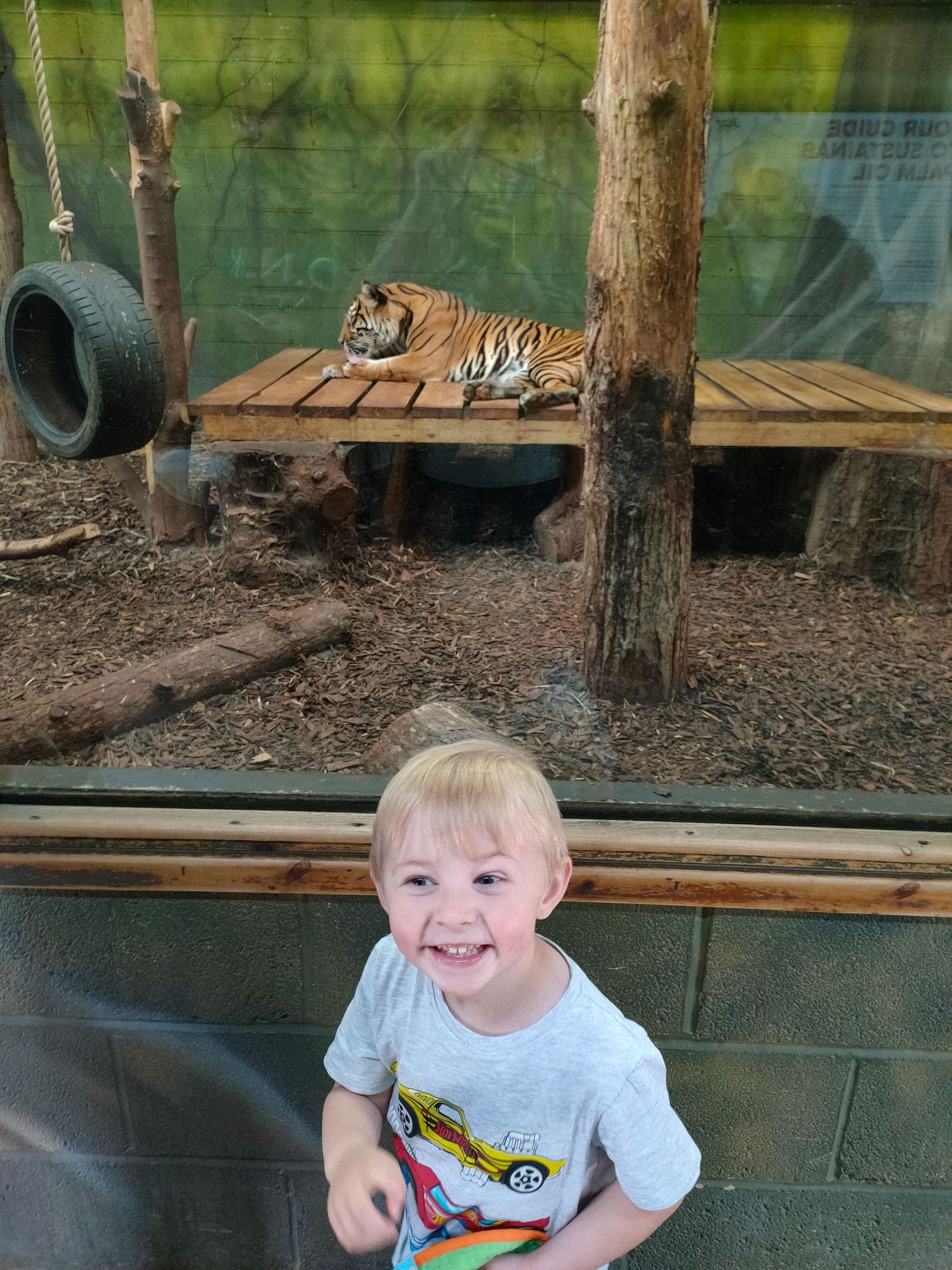 Drayton Manor Zoo
