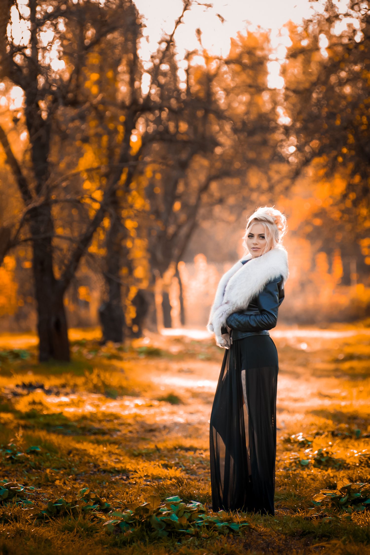 Atmospheric autumn photoshoot in a park with golden sunlight filtering through trees.