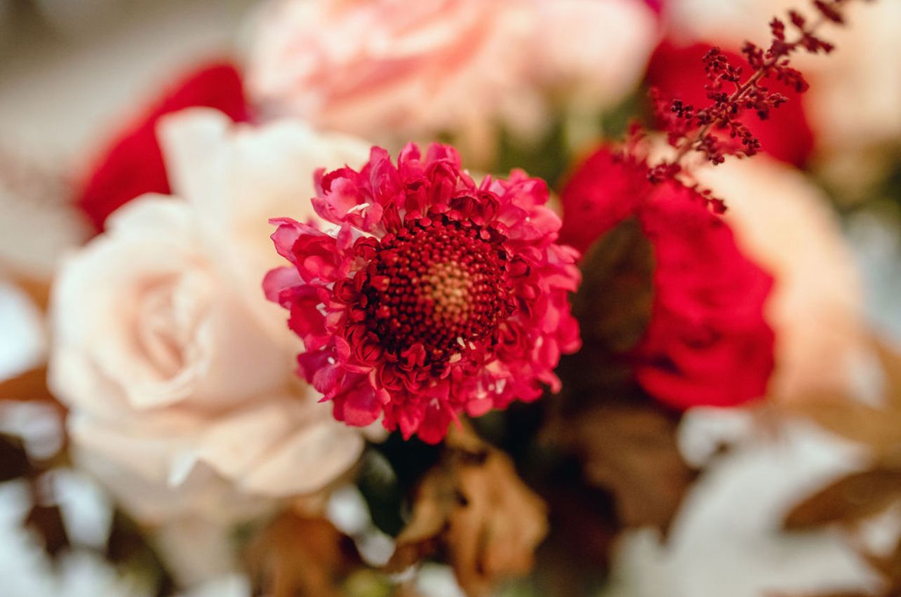 flower, bouquet, wedding bouquet, pink, wedding, wedding photographer, virginia wedding photographer, pink and red