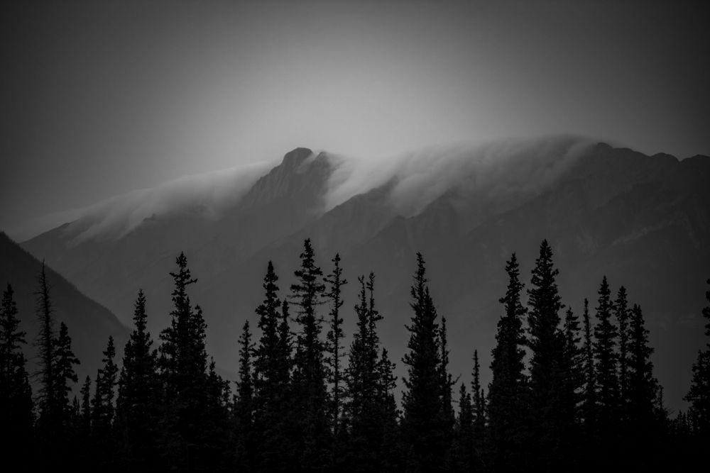 Misty mountain peaks silhouetted against dark sky with evergreen trees in foreground.