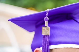 Purple graduation caps with tassels lined up in a row.