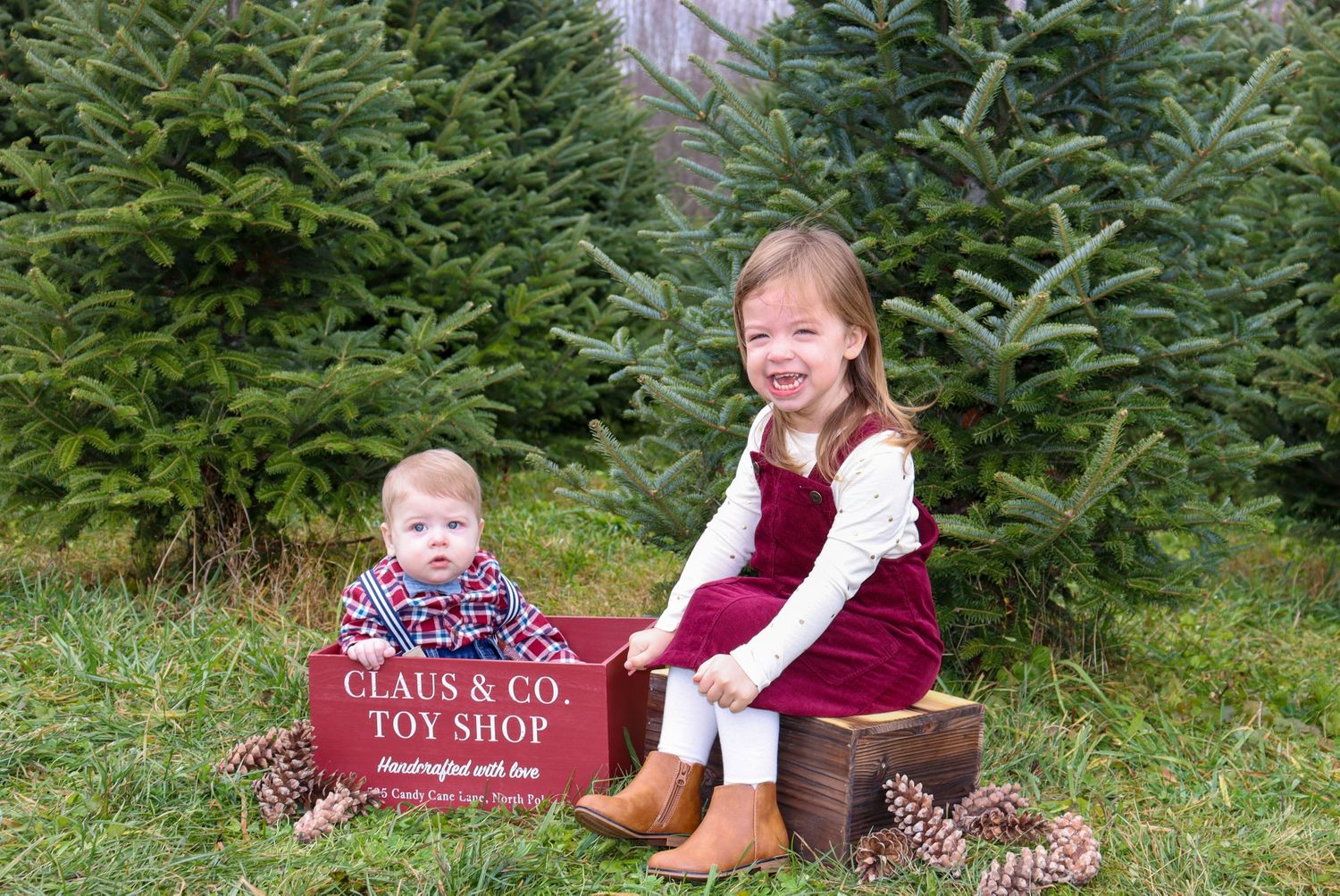Christmas mini session