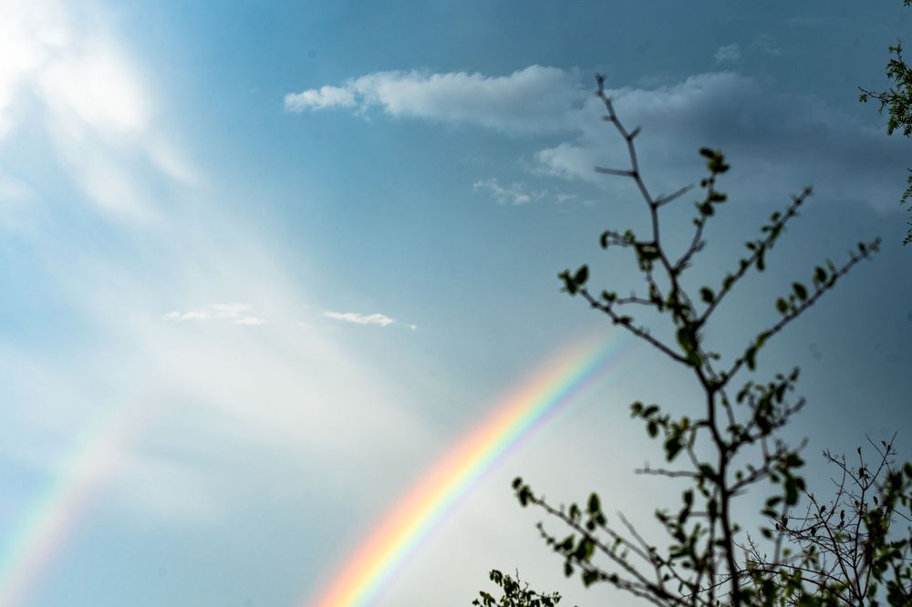 Rainbows &Nature Photography - Katy Montoya Photography | Kenedy Texas Photographer - San Antonio Texas Photographer