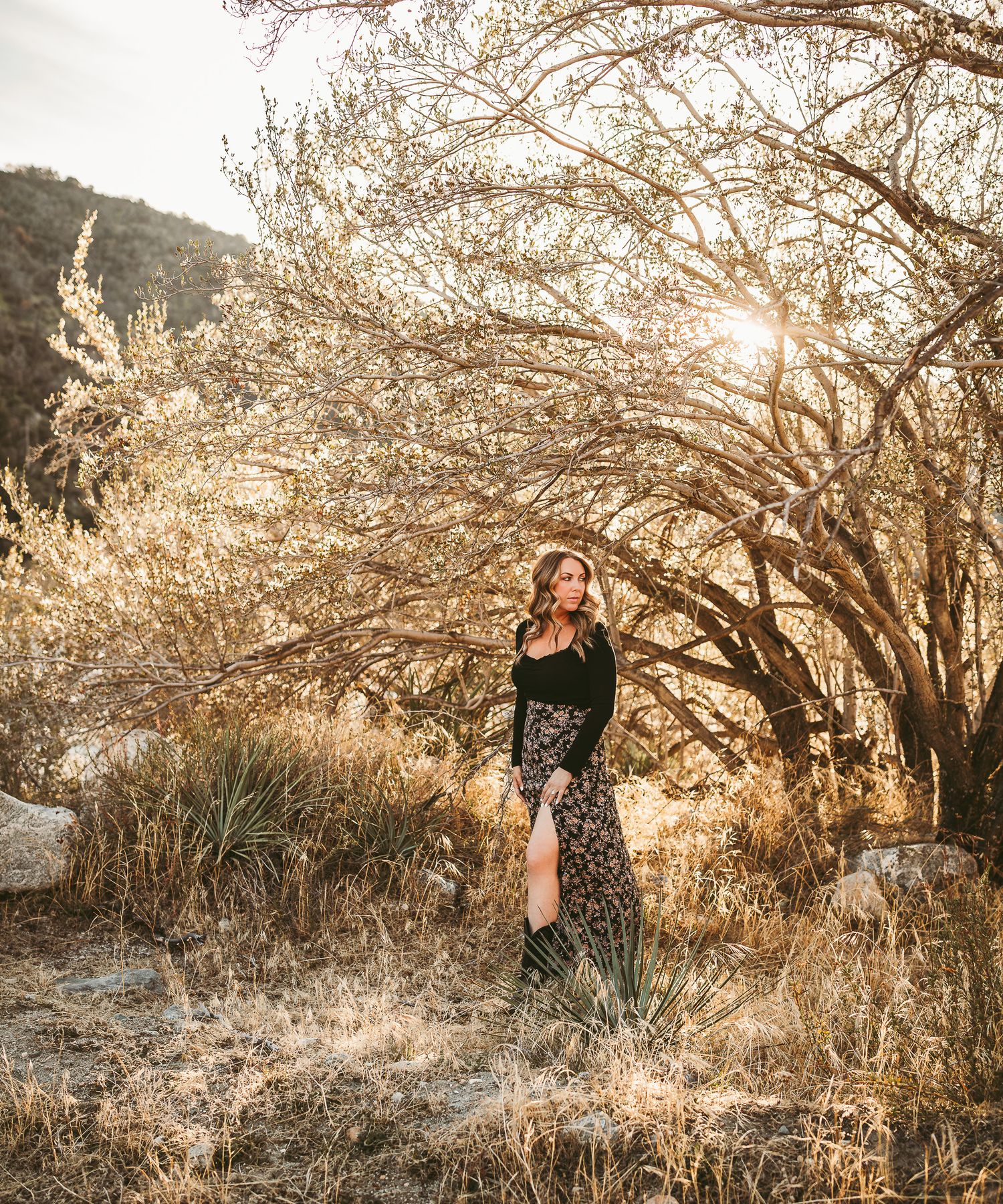 Golden sunlight illuminates flowering trees in a natural outdoor setting with mountain landscape.