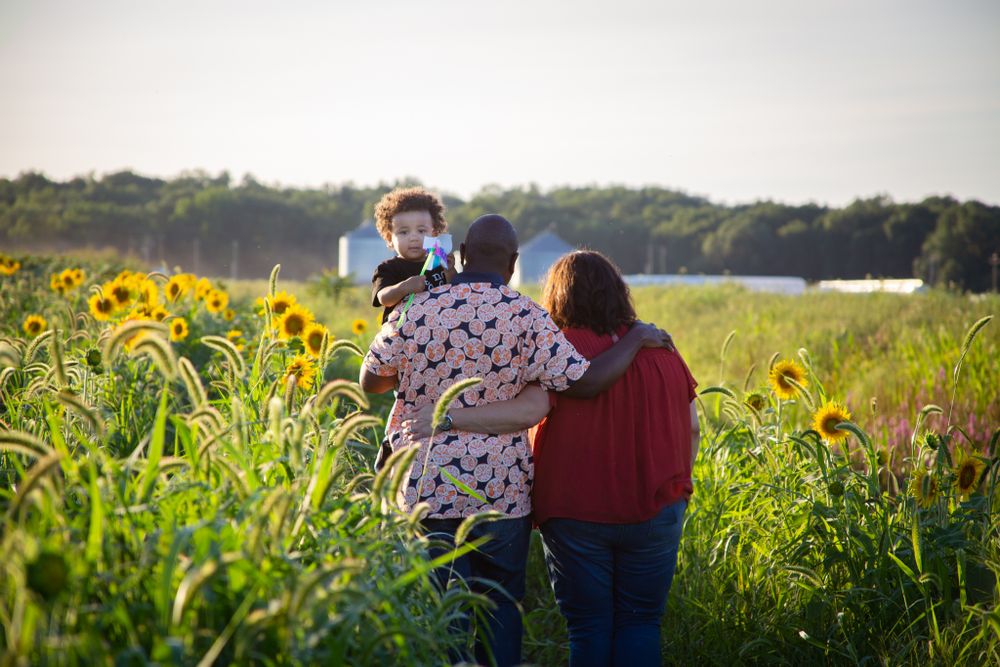 Beautiful field of blooming sunflowers stretching into the distance at golden hour.