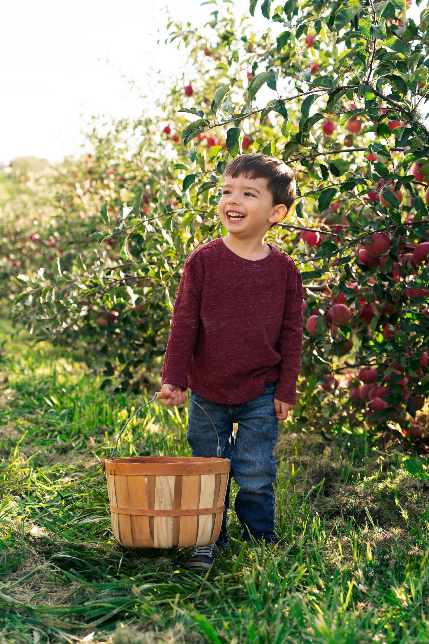 boy carries basket with apples