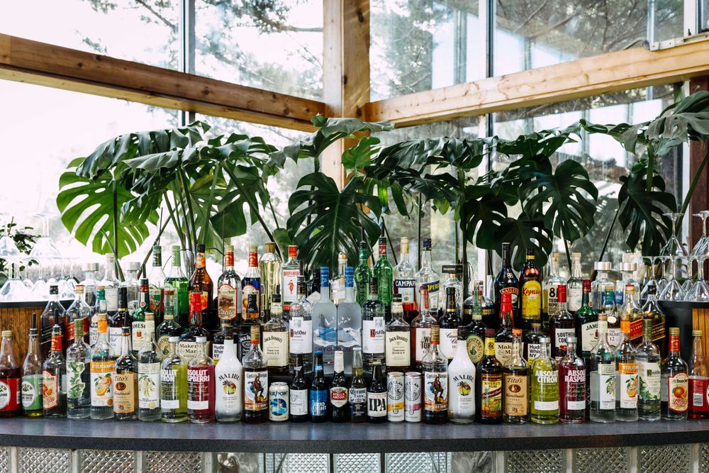 Open bar liquor bottles with monstera leaves decorating as wedding details at Flowerfield