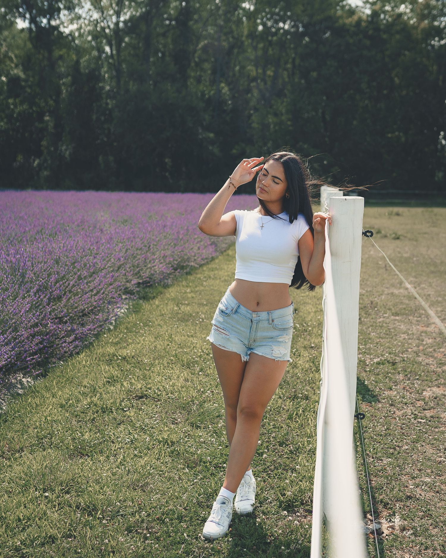 Lavander field pictures