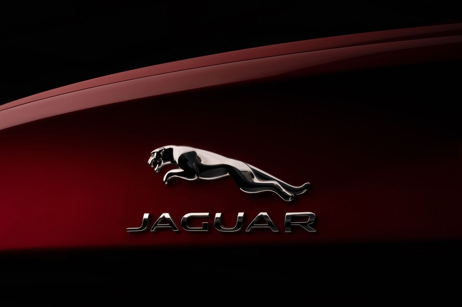 A fine art automotive photograph of a Jaguar logo
