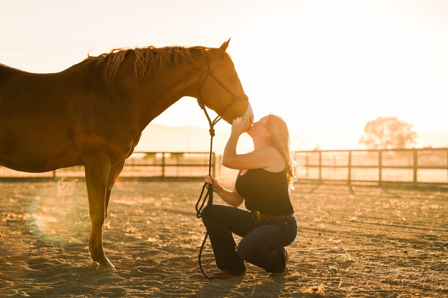 Horse and person share tender moment during golden sunset in paddock.
