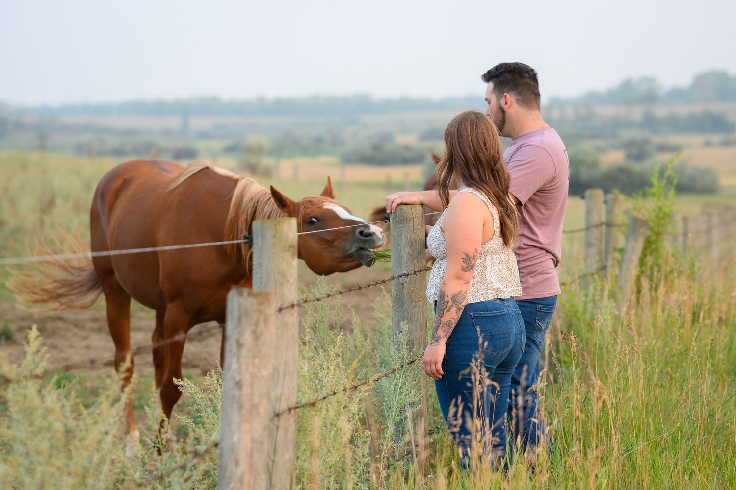 A couple interacting with a brown horse over a rustic wooden fence in a rural field setting.