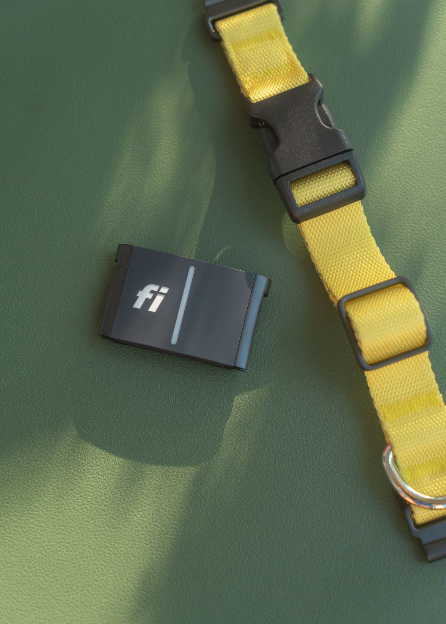 flay lay of FI series three dog collar