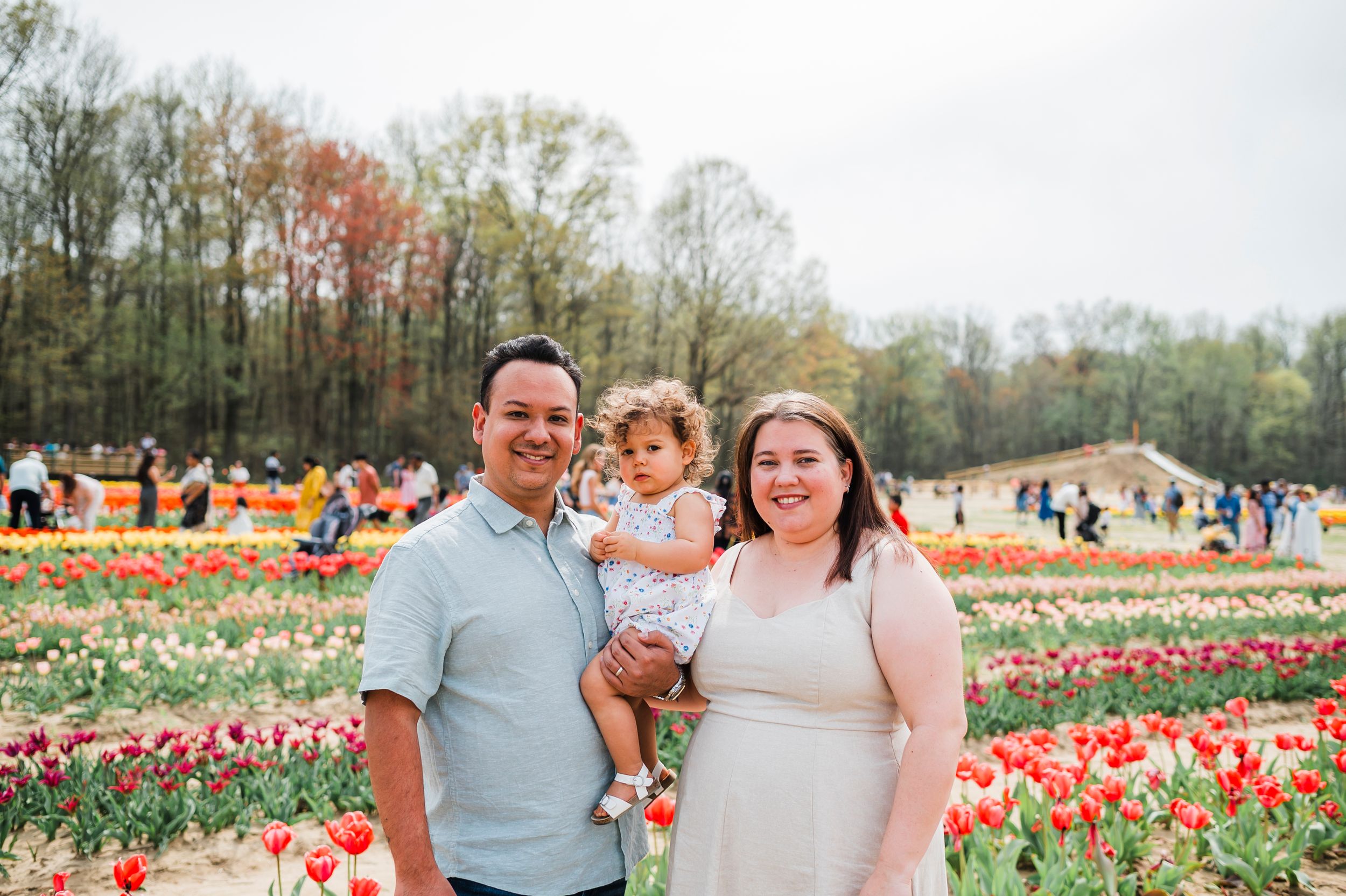 A vibrant tulip field with colorful rows of flowers stretching into the distance on a sunny spring day.