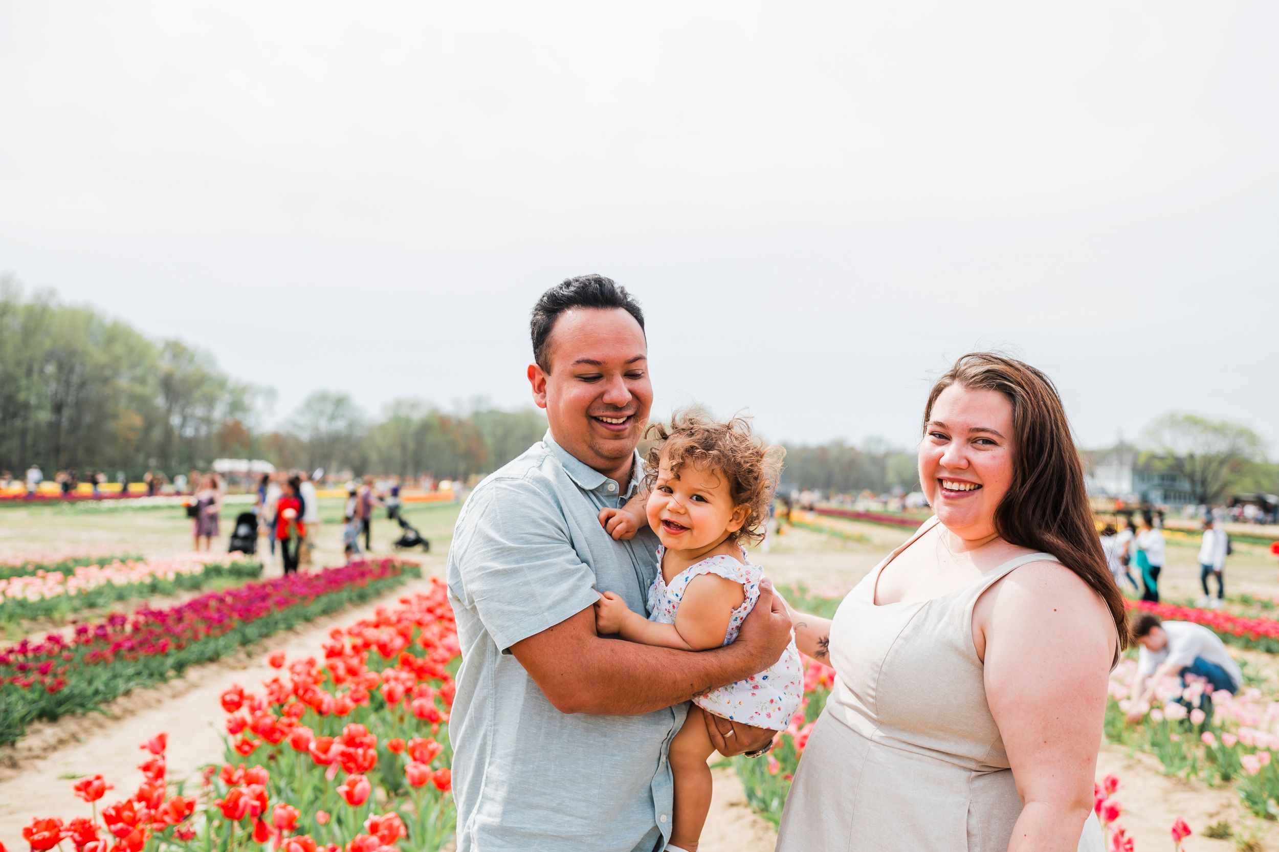 A happy family enjoys a spring day together at a blooming tulip farm with red flowers in the background.