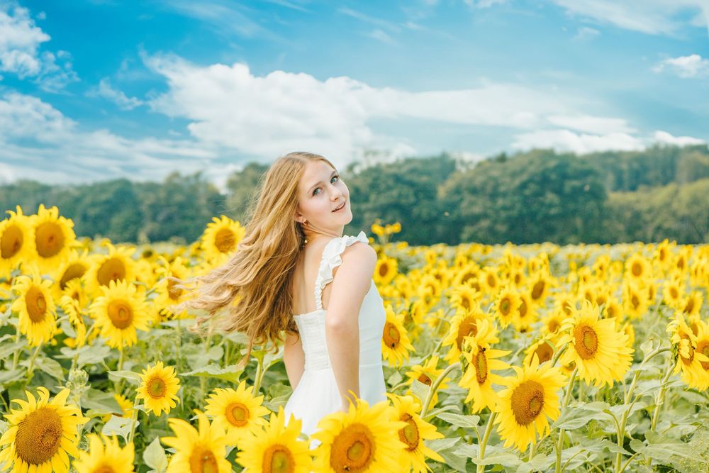 Vibrant yellow sunflower field under blue summer sky with mountains and white dress in foreground.