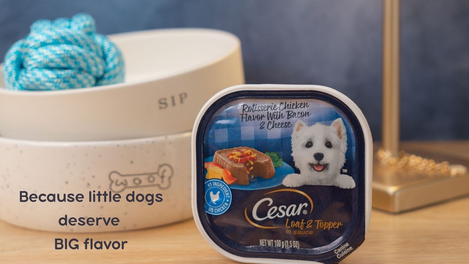 Cesar's Dog Food