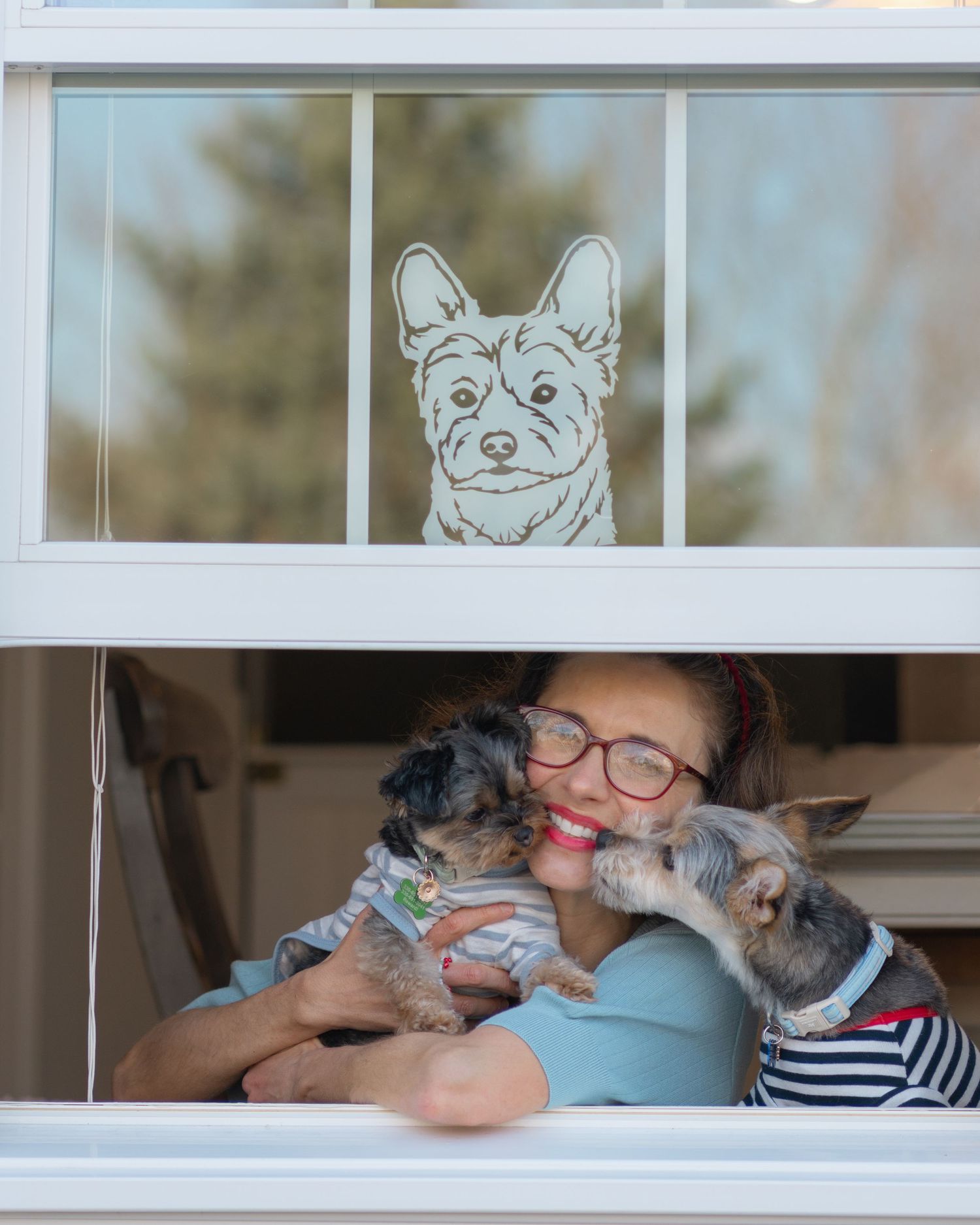 Pet, Product & Lifestyle Imagery