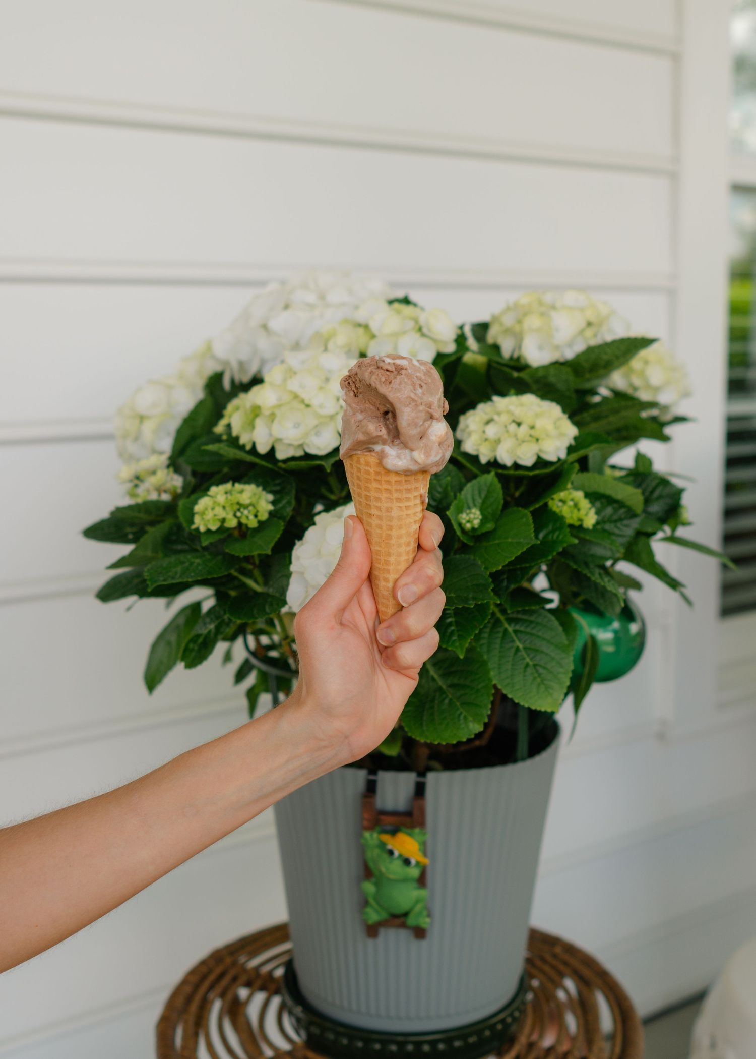 hand holding a ice cream cone with flowers in the background