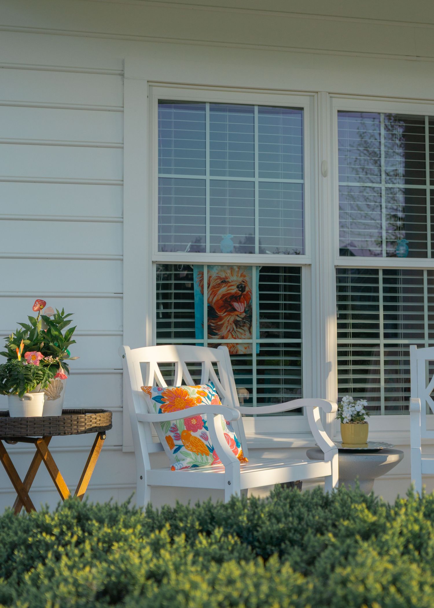 white chair in with green shrub in the foreground