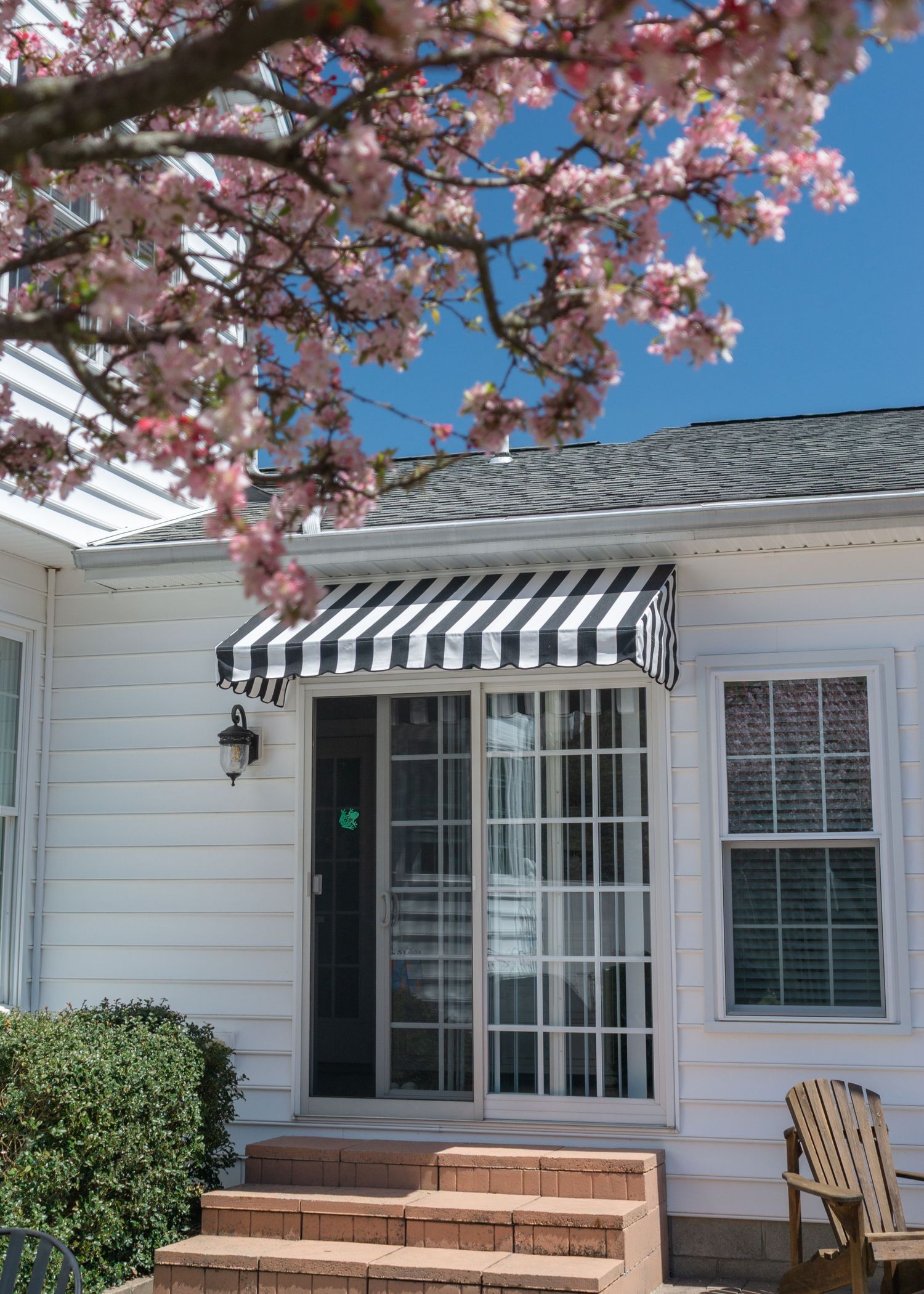 black and white awning with cherry blossoms in the foreground
