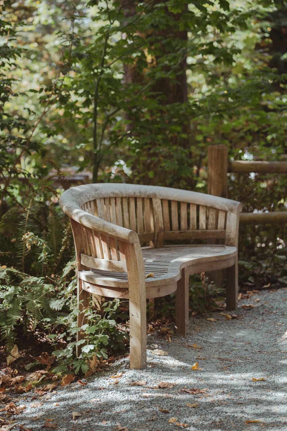 A weathered wooden bench sits along a peaceful garden path surrounded by lush green foliage.