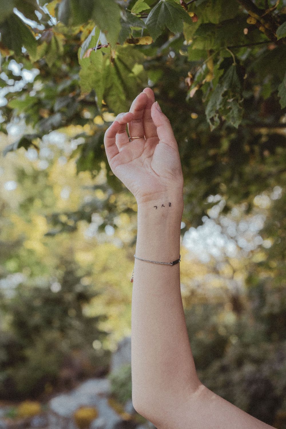 A small arm reaches up towards green maple leaves in a series of consecutive action shots against a blurred outdoor background.