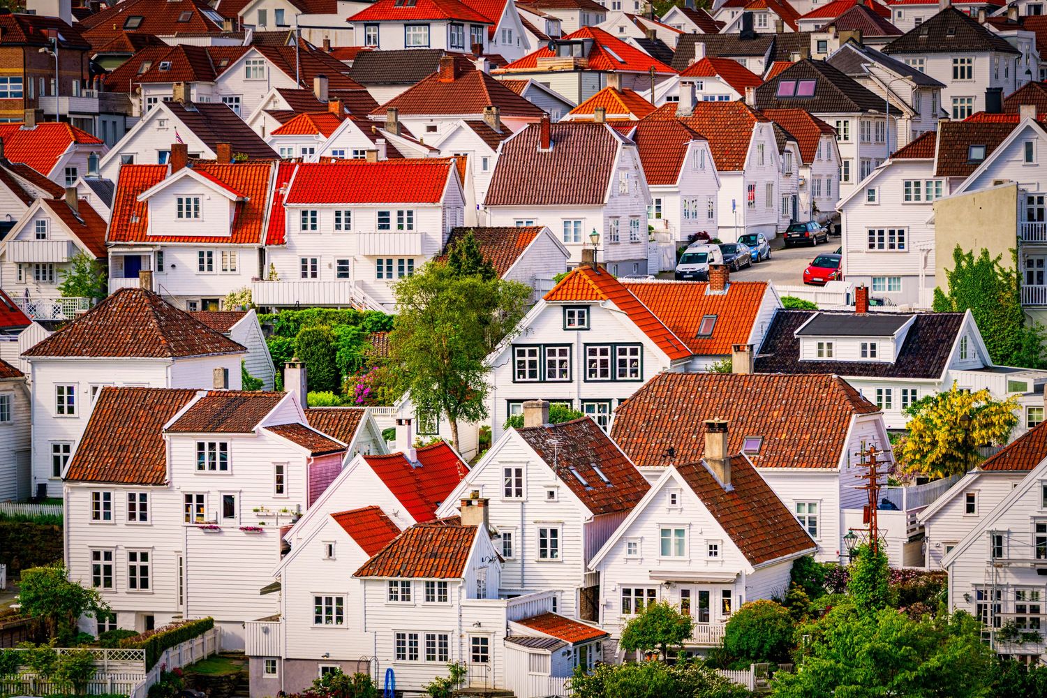 Panoramic view of white Norwegian houses with red roofs clustered along hillside.