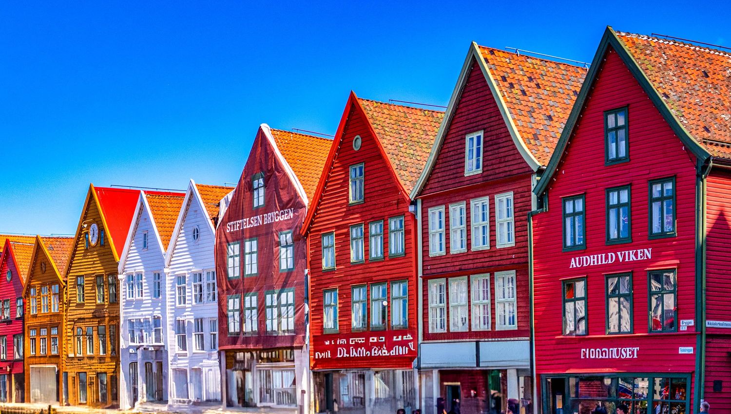 Colorful historic Bryggen buildings in Bergen, Norway featuring red, yellow and white facades.