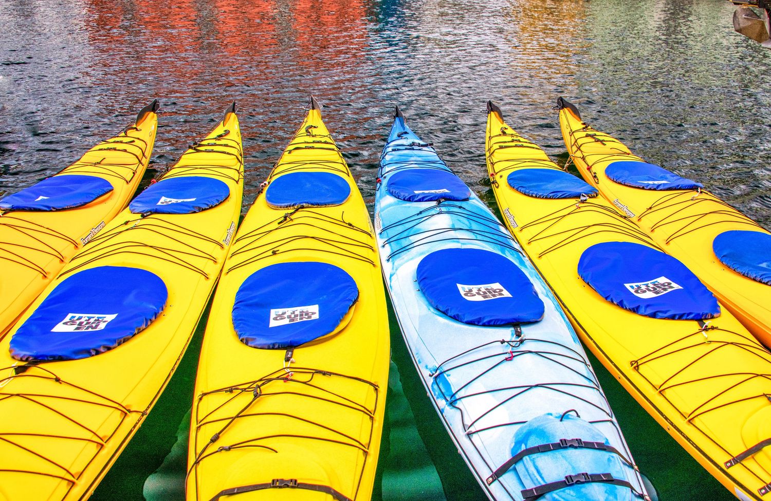 Row of yellow and blue kayaks lined up along the shore ready for adventure.