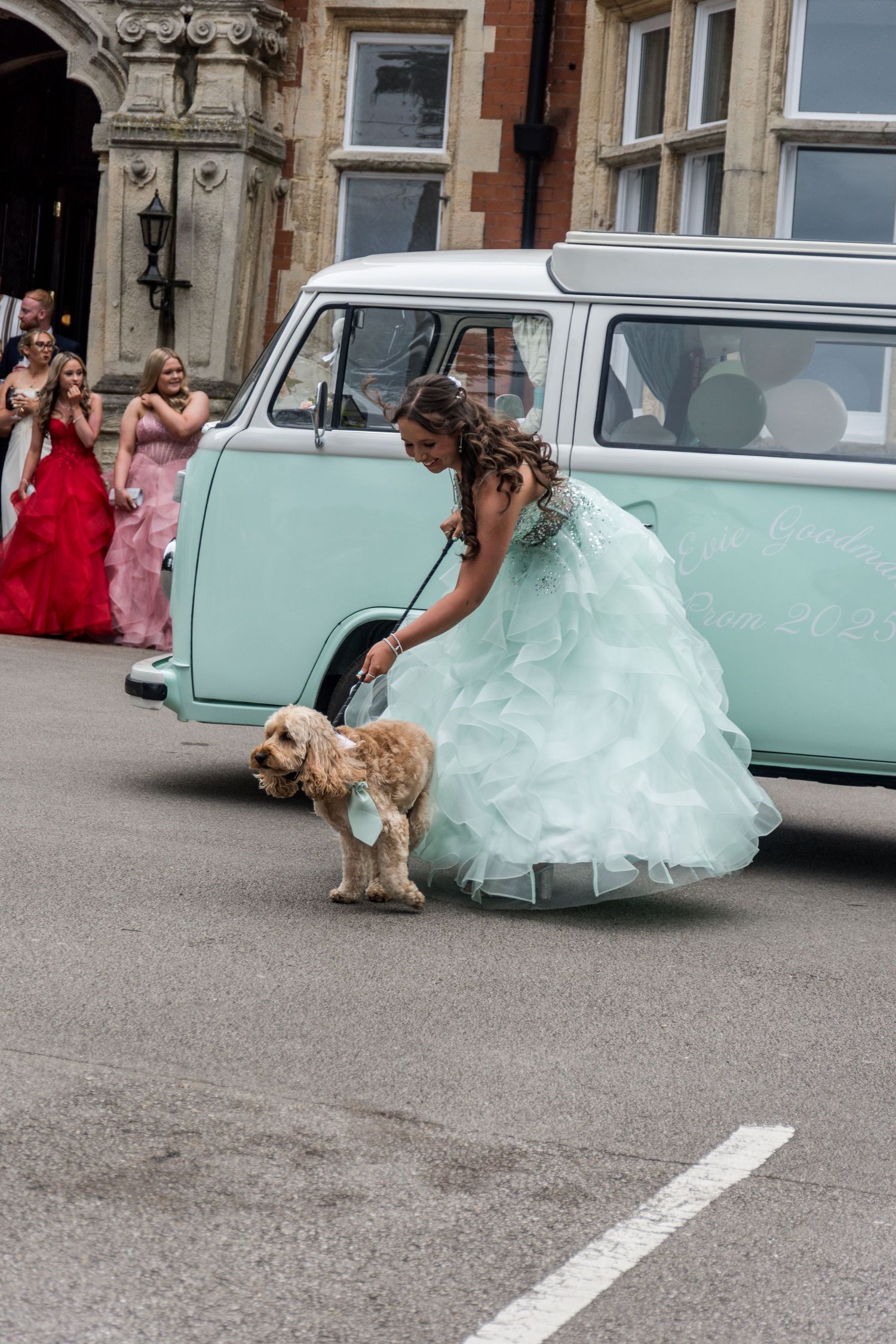 Someone in a mint green formal dress bends down to pet a small dog next to a vintage blue VW van.