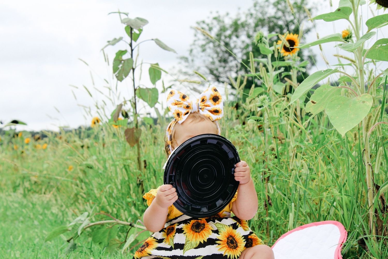 Someone with a camera focuses on capturing sunflowers growing in a lush green summer garden field.